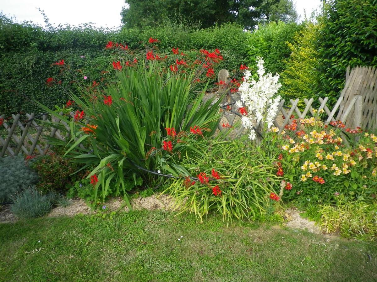 Les Terrasses Bed & Breakfast Saint-Paul-en-Pareds Exterior photo